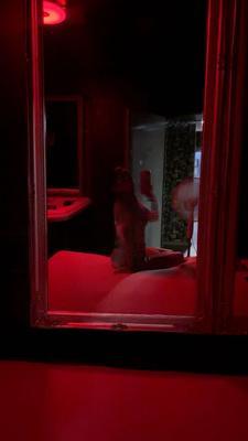 Jade - Photo 18